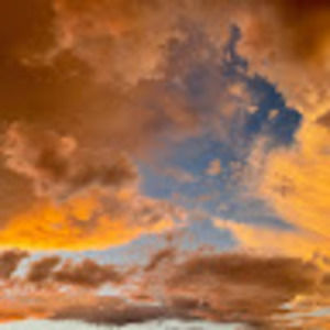 Meet your Posher, Taña